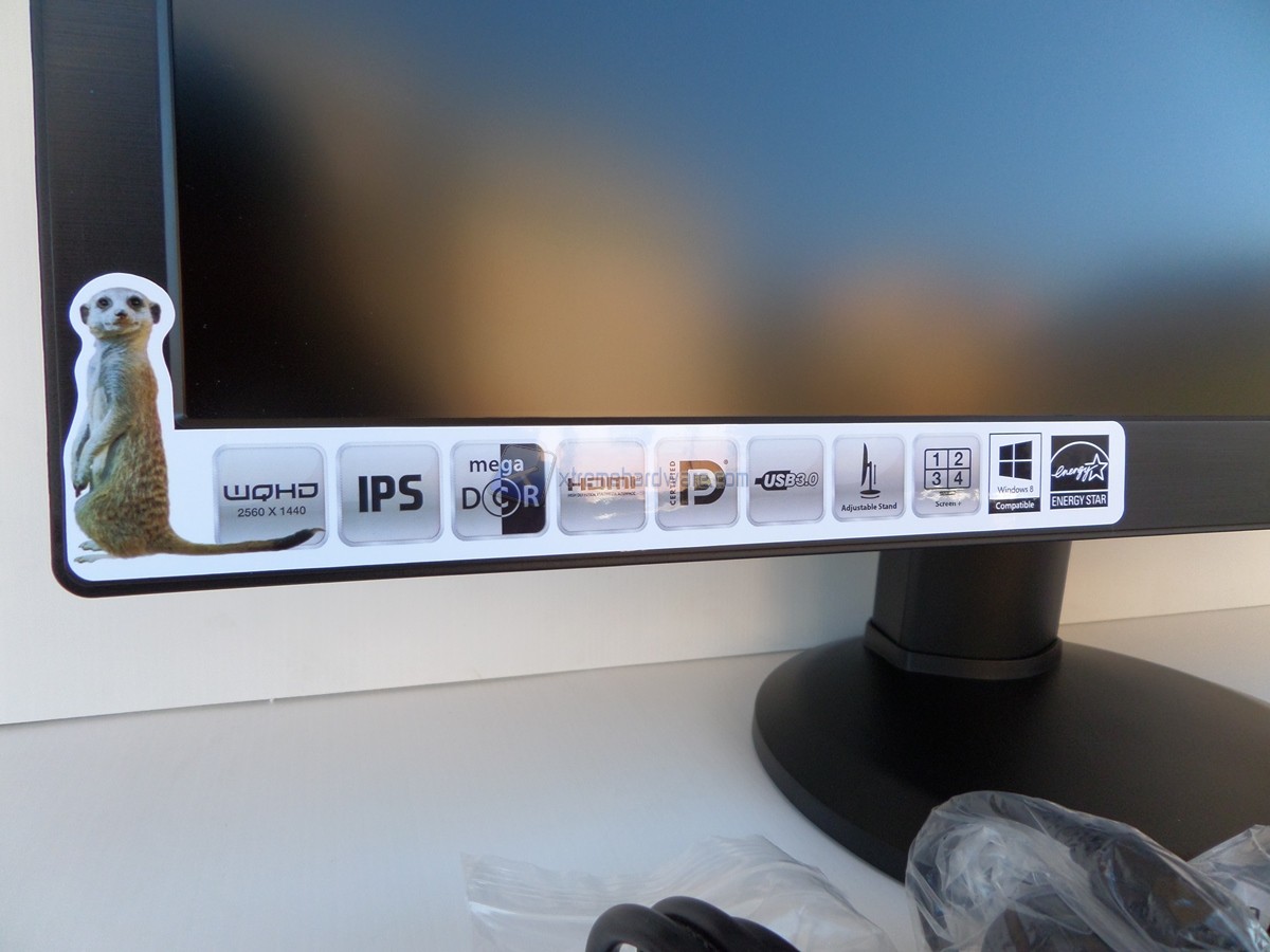 Monitor 02